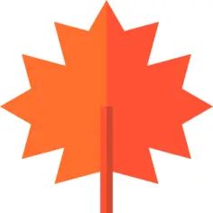 Maple leaf