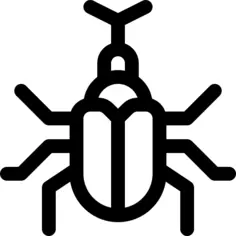 Beetle