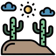 Cactus
