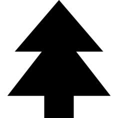 Pine