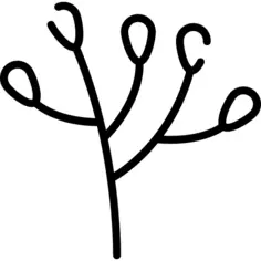 Branch