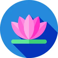 Meditation