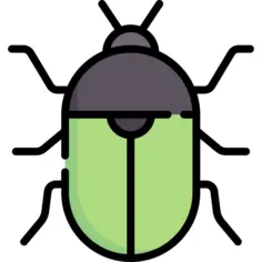 Beetle