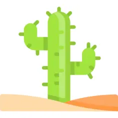 Cactus