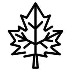 Maple leaf