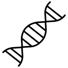 Dna