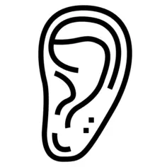 Ear