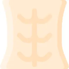 腹部的