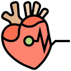 Heart