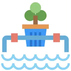 水培