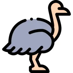 Ostrich