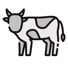 Cow