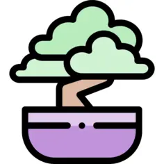 Bonsai