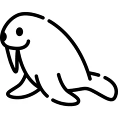 Walrus