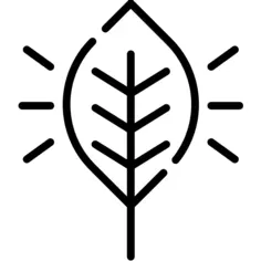 Ecology