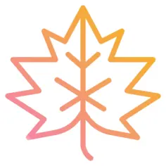 Maple leaf