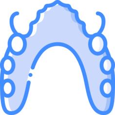 Teeth