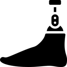 Foot