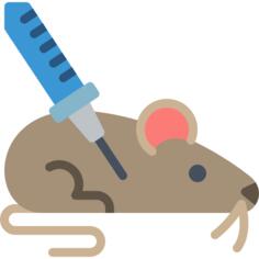 鼠