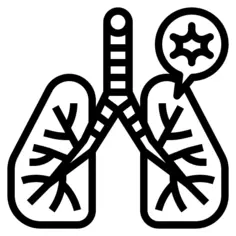 Lungs