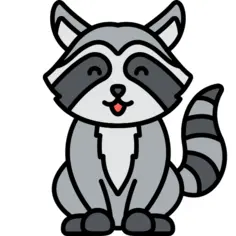 Raccoon