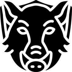 公猪