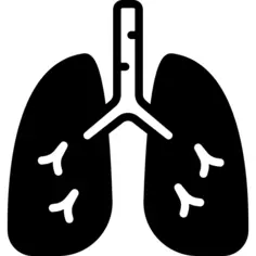 Lungs