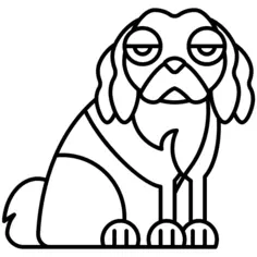 Cavalier king charles spaniel