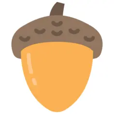 Acorn