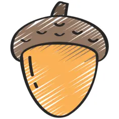 Acorn