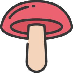 蘑菇