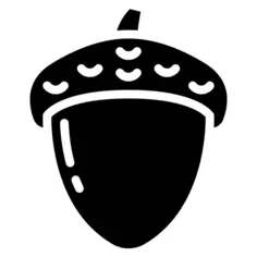 Acorn