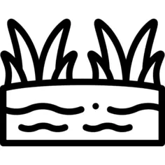 沼泽