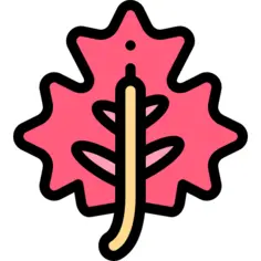 Maple leaf