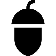 Acorn