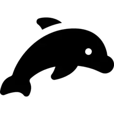 Dolphin