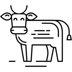 Cow