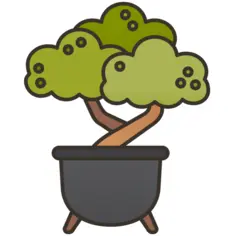Bonsai