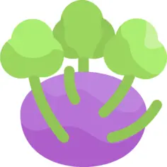 Kohlrabi