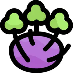 Kohlrabi