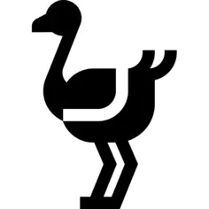 Ostrich