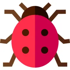 Ladybug