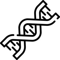 脱氧核糖核酸