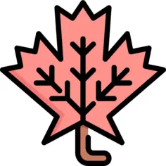 Maple leaf