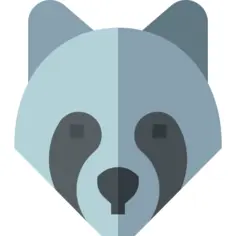 Racoon
