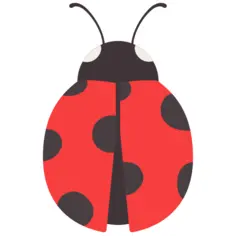 Ladybug