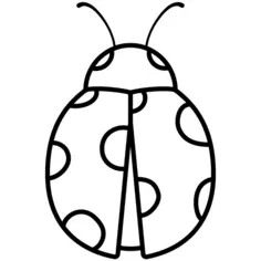 Ladybug