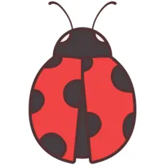 Ladybug