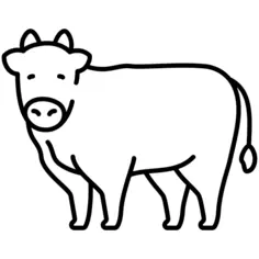 Cow