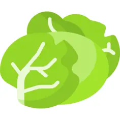 Cabbage